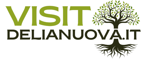 logo visit delianuova