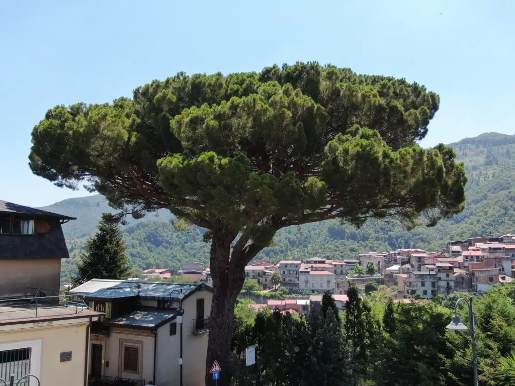 "La Pignara", Delianuova – Photo by Giampiero Licastro
