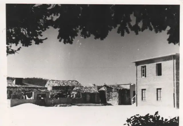 Delianuova - villa comunale - Collezione privata del Dott. Raffaele Leuzzi
