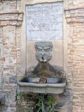 PXL_20250630_062235768